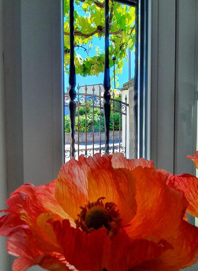 Casa Isabella B&B コペル エクステリア 写真